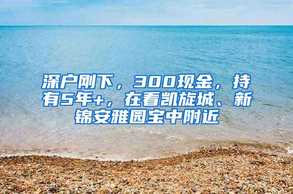 深户刚下，300现金，持有5年+，在看凯旋城、新锦安雅园宝中附近