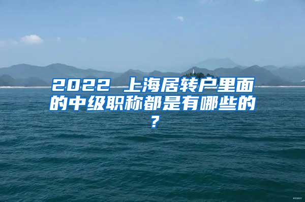2022 上海居转户里面的中级职称都是有哪些的？