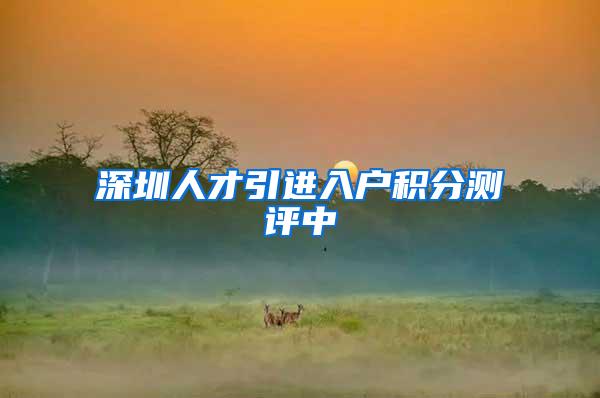 深圳人才引进入户积分测评中