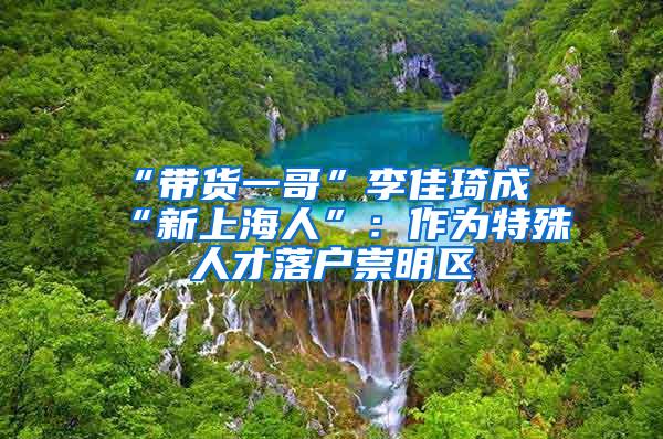 “带货一哥”李佳琦成“新上海人”：作为特殊人才落户崇明区