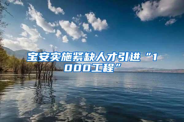 宝安实施紧缺人才引进“1000工程”