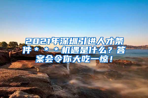 2021年深圳引进人才条件＊＊＊机遇是什么？答案会令你大吃一惊！