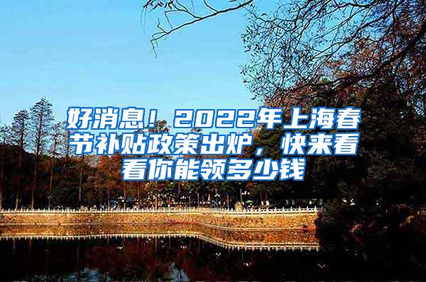好消息！2022年上海春节补贴政策出炉，快来看看你能领多少钱