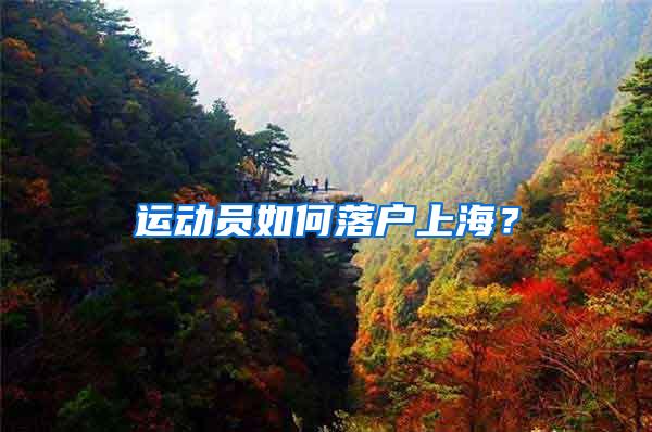 运动员如何落户上海？