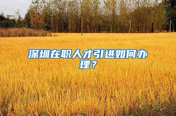 深圳在职人才引进如何办理？