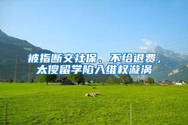 被指断交社保、不给退费，太傻留学陷入维权漩涡