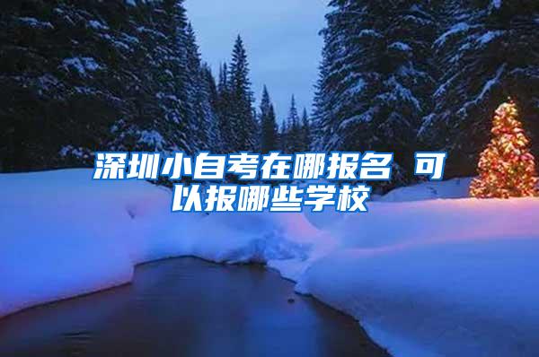 深圳小自考在哪报名 可以报哪些学校