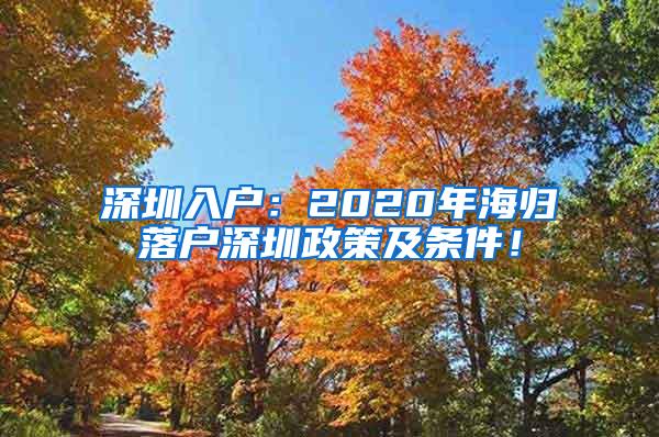 深圳入户：2020年海归落户深圳政策及条件！