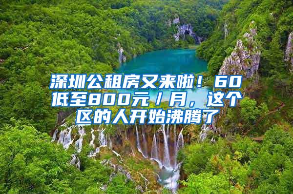 深圳公租房又来啦！60㎡低至800元／月，这个区的人开始沸腾了