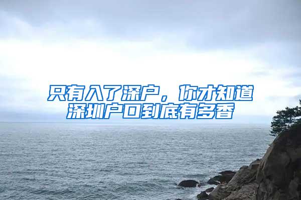只有入了深户，你才知道深圳户口到底有多香