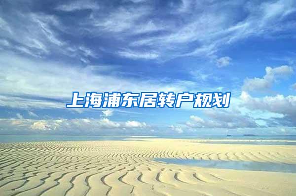 上海浦东居转户规划