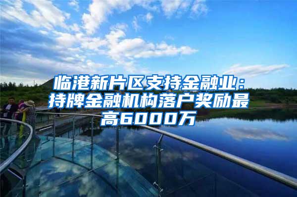 临港新片区支持金融业：持牌金融机构落户奖励最高6000万