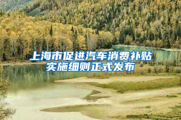 上海市促进汽车消费补贴实施细则正式发布