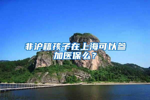 非沪籍孩子在上海可以参加医保么？