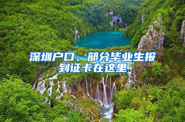 深圳户口、部分毕业生报到证卡在这里