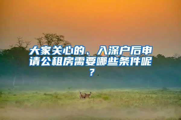 大家关心的、入深户后申请公租房需要哪些条件呢？