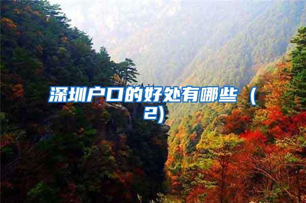 深圳户口的好处有哪些 (2)
