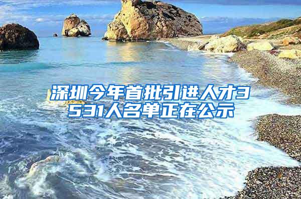 深圳今年首批引进人才3531人名单正在公示