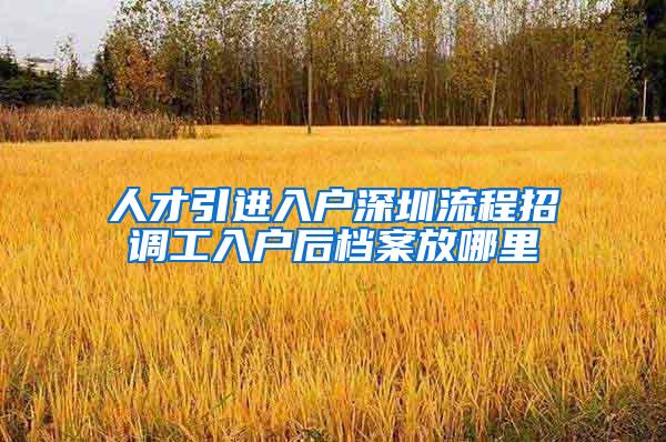 人才引进入户深圳流程招调工入户后档案放哪里