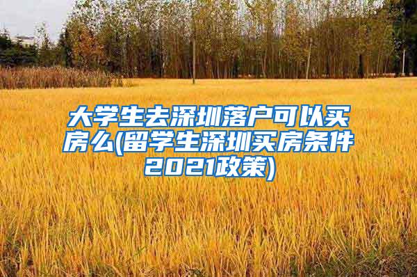 大学生去深圳落户可以买房么(留学生深圳买房条件2021政策)