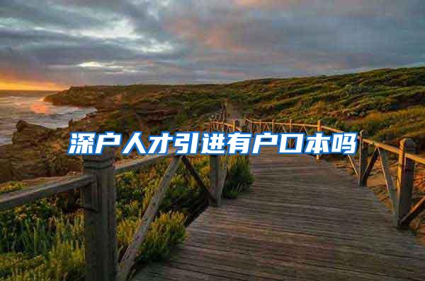深户人才引进有户口本吗