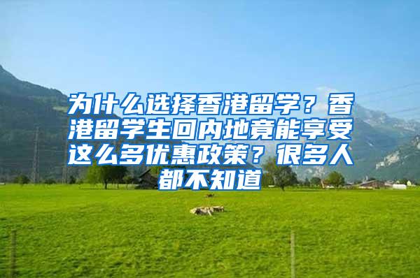 为什么选择香港留学？香港留学生回内地竟能享受这么多优惠政策？很多人都不知道