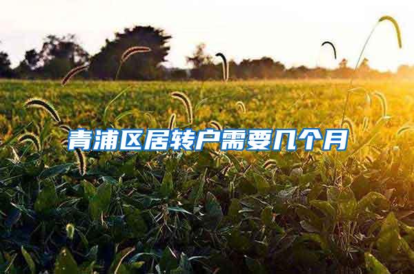青浦区居转户需要几个月