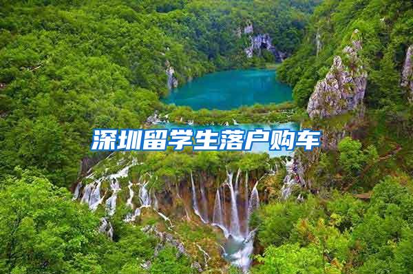 深圳留学生落户购车