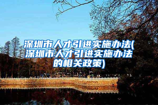 深圳市人才引进实施办法(深圳市人才引进实施办法的相关政策)