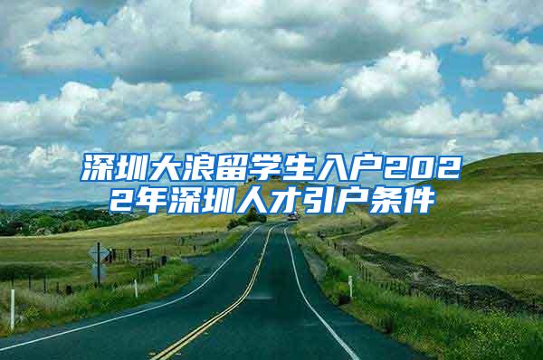 深圳大浪留学生入户2022年深圳人才引户条件