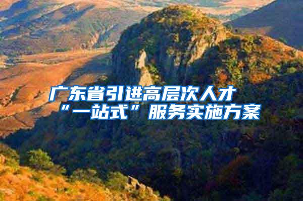 广东省引进高层次人才“一站式”服务实施方案