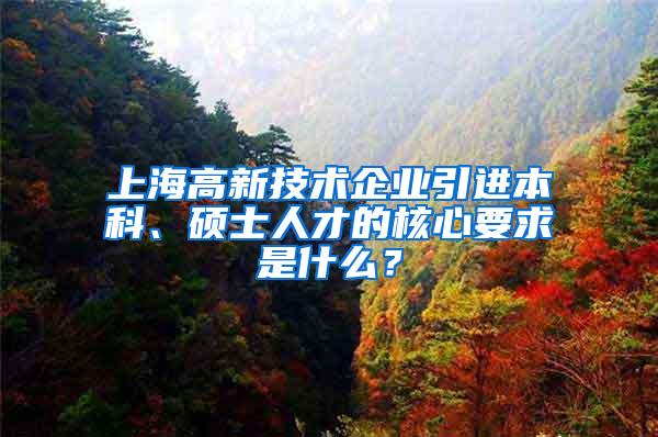 上海高新技术企业引进本科、硕士人才的核心要求是什么？