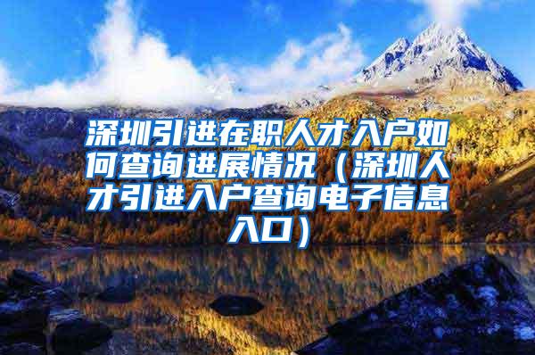 深圳引进在职人才入户如何查询进展情况（深圳人才引进入户查询电子信息入口）