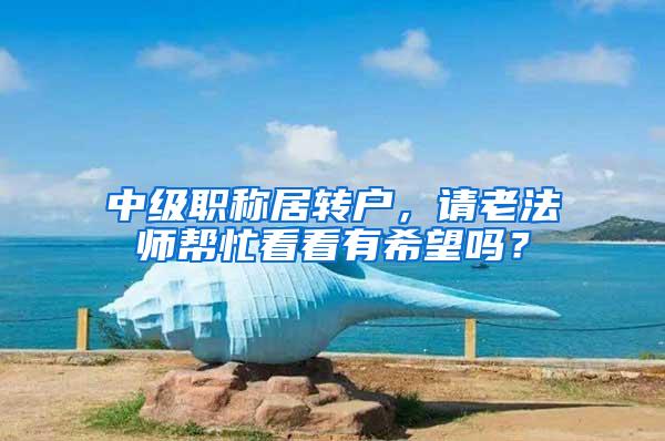 中级职称居转户，请老法师帮忙看看有希望吗？