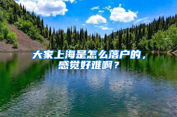 大家上海是怎么落户的，感觉好难啊？