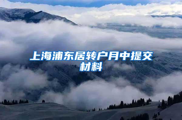 上海浦东居转户月中提交材料
