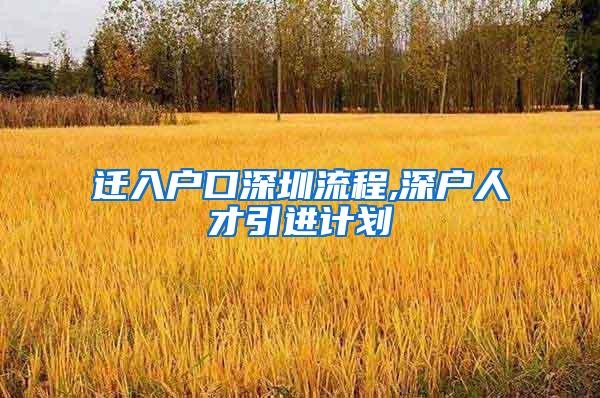 迁入户口深圳流程,深户人才引进计划