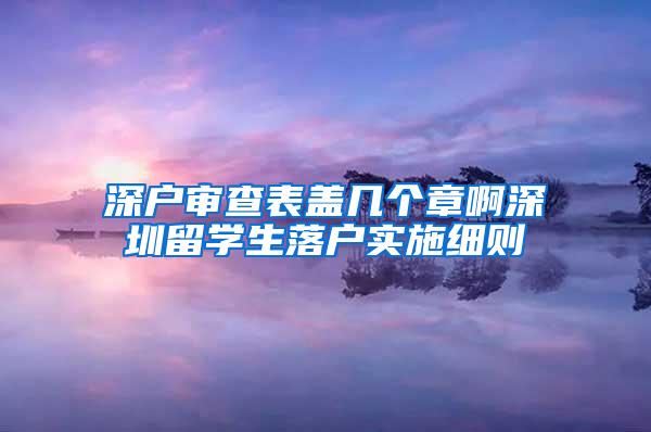 深户审查表盖几个章啊深圳留学生落户实施细则