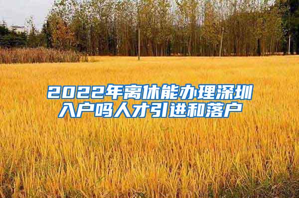 2022年离休能办理深圳入户吗人才引进和落户