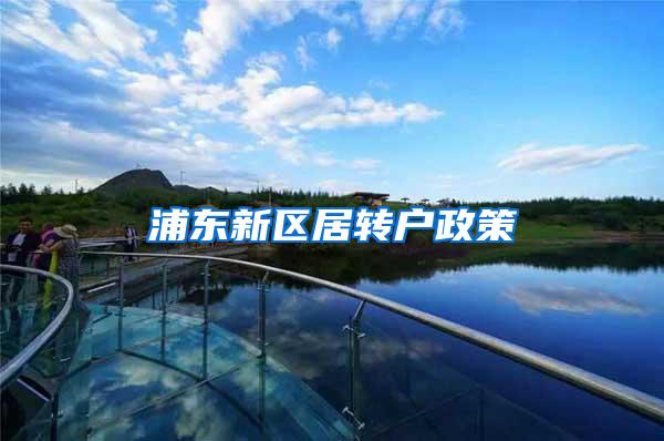 浦东新区居转户政策