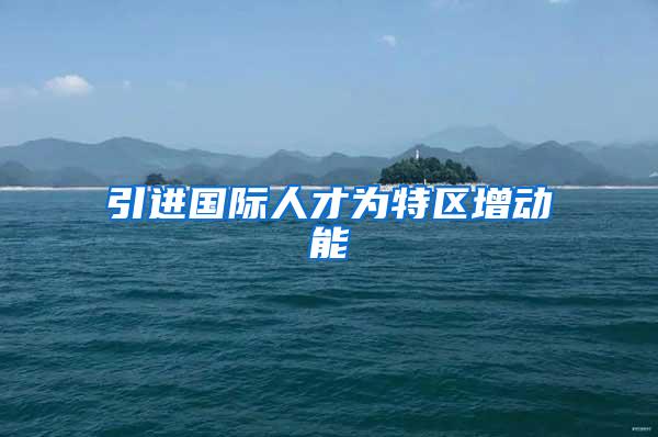 引进国际人才为特区增动能