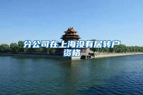 分公司在上海没有居转户资格