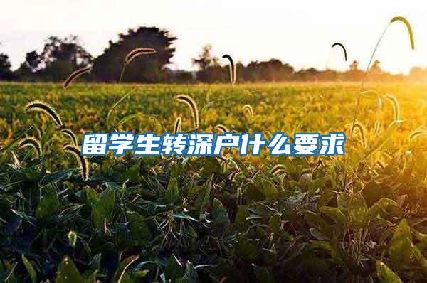 留学生转深户什么要求