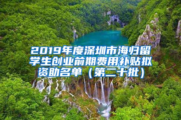 2019年度深圳市海归留学生创业前期费用补贴拟资助名单（第二十批）