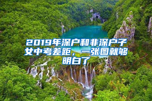 2019年深户和非深户子女中考差距，一张图就够明白了