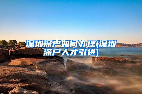 深圳深户如何办理(深圳深户人才引进)