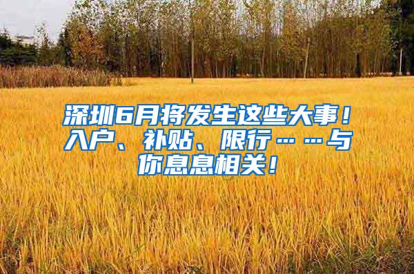 深圳6月将发生这些大事！入户、补贴、限行……与你息息相关！