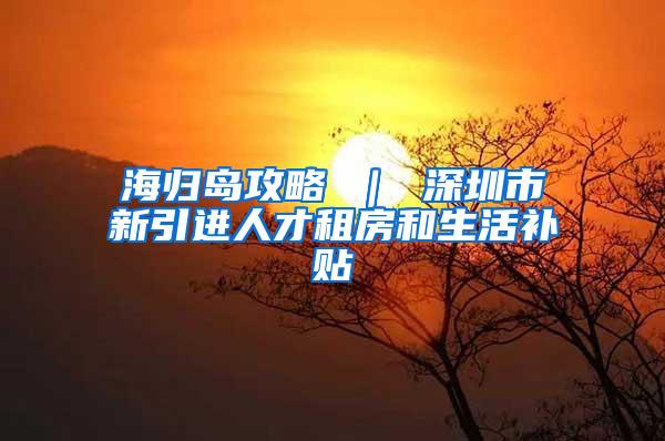 海归岛攻略 ｜ 深圳市新引进人才租房和生活补贴