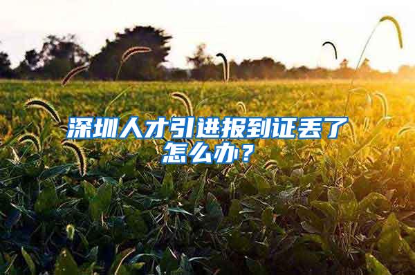 深圳人才引进报到证丢了怎么办？
