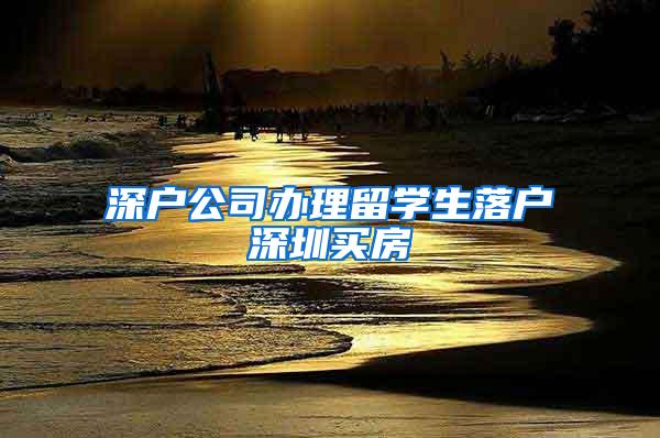 深户公司办理留学生落户深圳买房